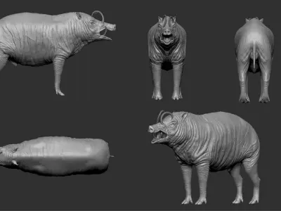 Babirusa warthog 3D model