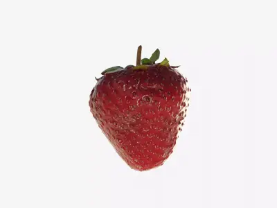 Scanned Strawberry Berry Low-poly 3D model