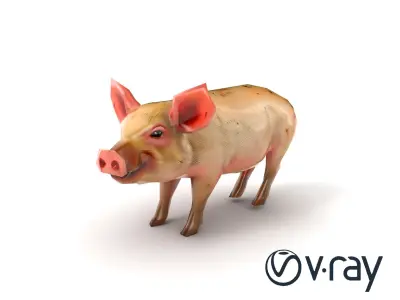 Playful Muddy Pig Character model pack Low-poly 3D model