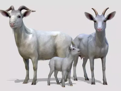 Goat family Low-poly 3D model