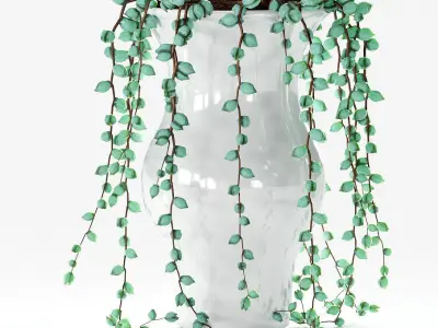 Succulents in pots - 3 models 3D model