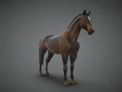 Realistic Muscular Horse Low-poly 3D model