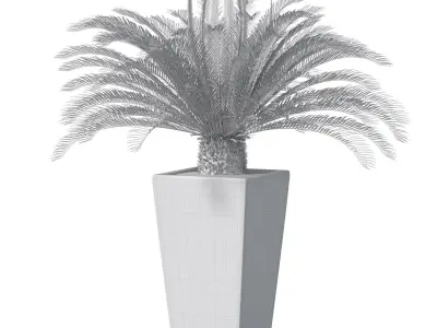 Beautiful decorative indoor evergreen Palm Tree Cicas  Art Deco 3D model