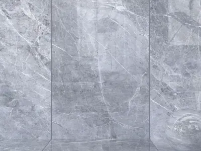 Kale Royal Marbles Prestige Gri 160x320 Texture