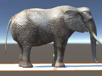 animated Forest animals  Low-poly 3D model