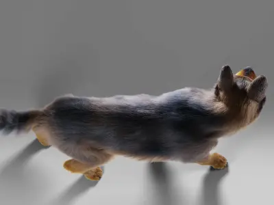 Fur German Shepherd Rigged  Low-poly 3D model
