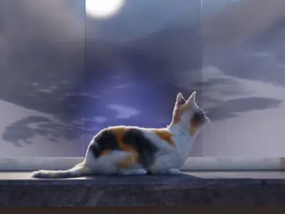 Cat white black calico tabby orange siamese sphynx etc 3D model