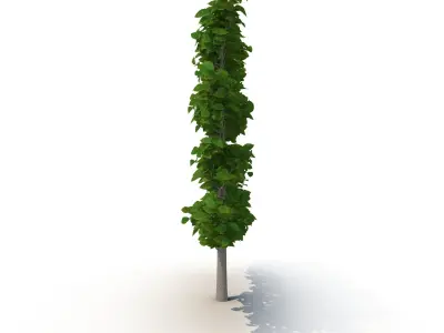 Decorative branch tree 3D model