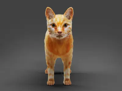Fur Cat  Yellow 02 No Rigged  Low-poly 3D model