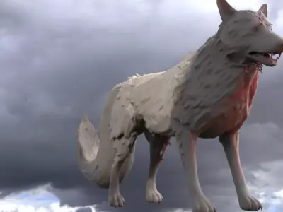 King Wolf 1 tail  3D model