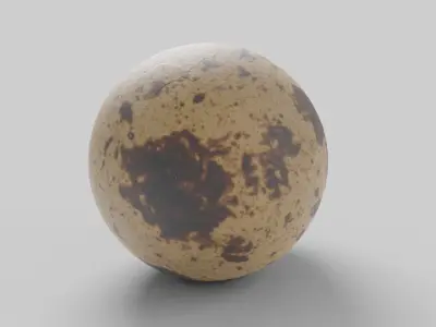 Quail Egg Low-poly 3D model