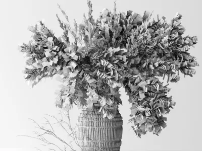 Brown Pampas 3D model