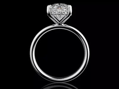 Gold N1560 3D print model