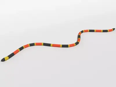 Low Poly Cartoon Coral Snake Low-poly 3D model