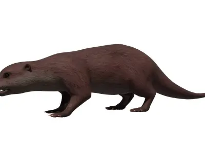 Otter Low-poly 3D model