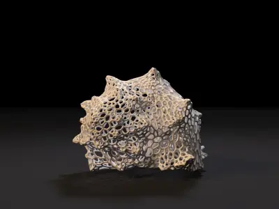 Sea shell 3D print model