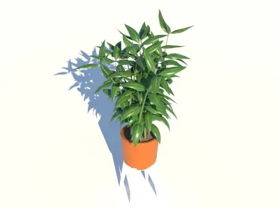 Dracaena and Pot 3D model