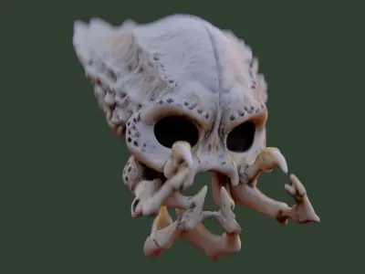 Alien Skull Artifact 3D model