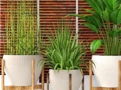 Plants collection pot 3D model