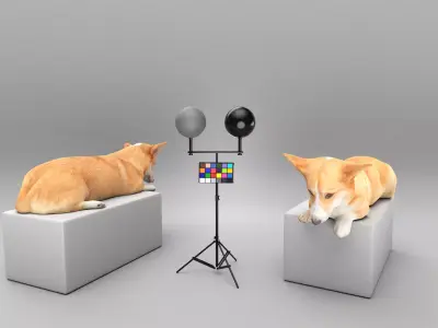 Welsh corgi 44 Low-poly 3D model