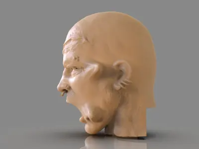 Prisioner Tortured Head 3D print model