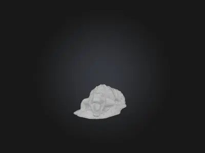 Realistic Crocodile Model Low-poly 3D model
