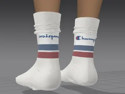 champion socks 3D model