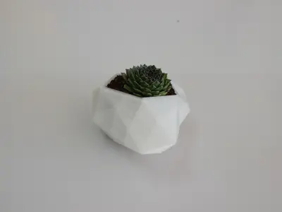 Flower pot Free 3D print model