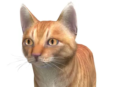 Cats - Simple Low-poly 3D model
