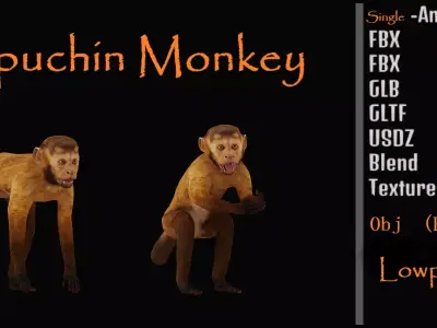 Capuchin Monkey Low-poly 3D model