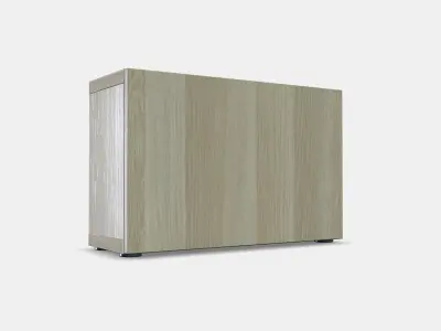 BESTA Shelf unit with door 48 Low-poly 3D model