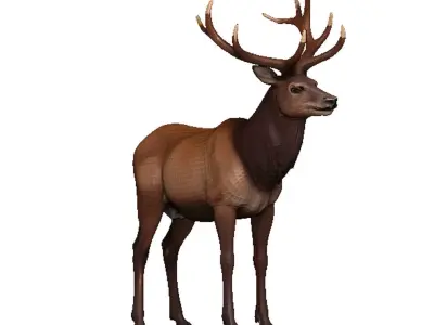 Elk-Elk Low-poly 3D model