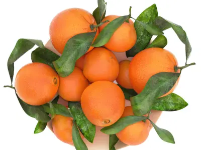 white bowl of oranges 3D model