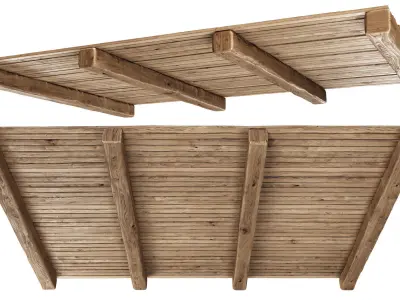 Wooden Ceiling V4  3D model