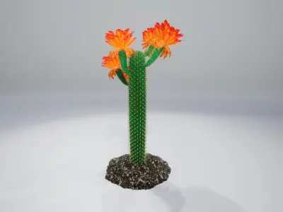 Cactus GF 3D model