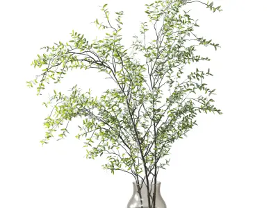 Collection Green Plants Bouquet Indoor 38 Low-poly 3D model