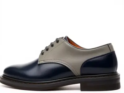 Elegant Leather Shoe model pack Texture