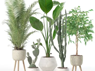 20 Photorealistic Flowers for Interiors - set 119 135 130 134 3D Model Collection