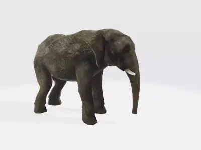 Elephant 3D model