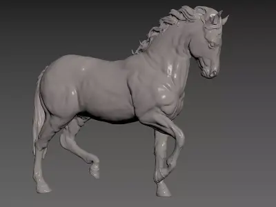 Horse 3D model 40