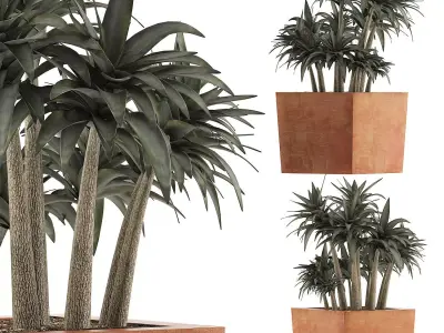 Plants Collection 84 3D model