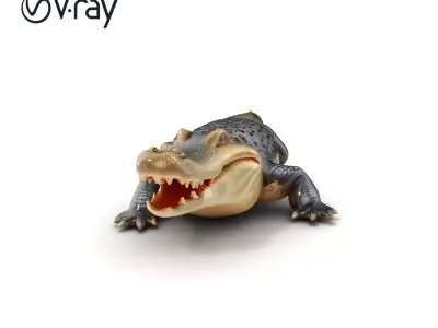 Saltwater Crocodile Realistic Model Pack Low-poly 3D model