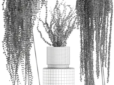 Plants in gold pots for the interior 602 3D model
