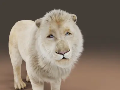 Fur White Lion Rigged in Blender  Low-poly 3D model