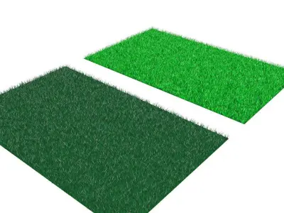 Grass two pieces of Low-poly 3D model