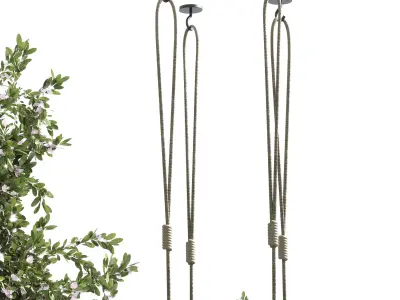 Plants hanging with flowers pots indoor plant 302 Low-poly 3D model