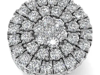 Big fancy mans ring 3D print model