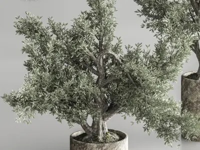 Bonsai collection set vol 02 3D model