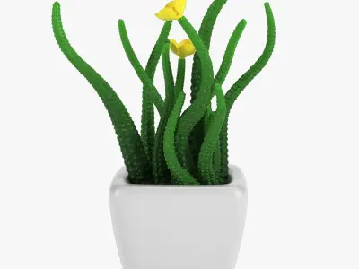 Pot Plant 19 3D model
