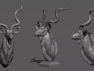 Greater Kudu Antelope bust 3D print model